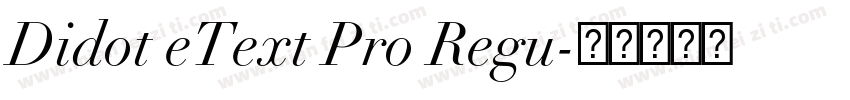 Didot eText Pro Regu字体转换